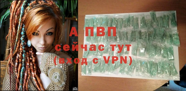 Альфа ПВП Коряжма
