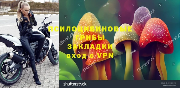 Альфа ПВП Краснослободск