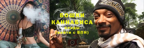 дживик Козельск