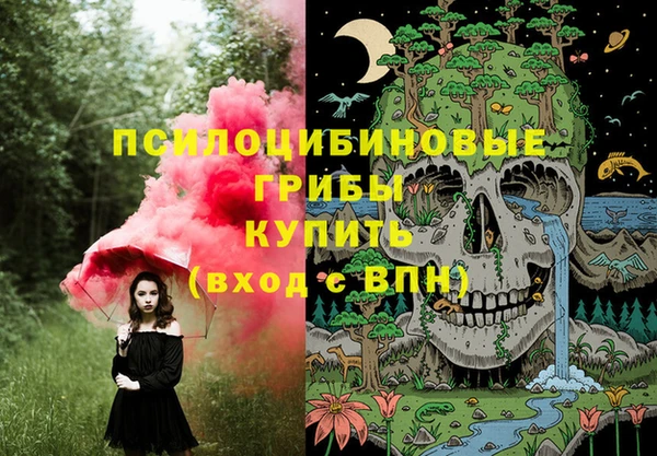МДПВ Красноперекопск
