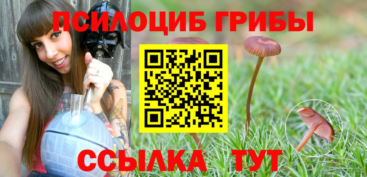 COCAIN  Вход с VPN  Альфа ПВП СОЛЬ   ЭКСТАЗИ  МЕТАМФЕТАМИН  Вейп ТГК  Клинцы  Меф МЯУ МЯУ   МАРИХУАНА  ГАШ 